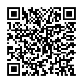 Salva questo codice QR per recuperare questa pagina.. qr-code GVBTPLLRM17361774P037
