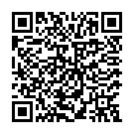 Salva questo codice QR per recuperare questa pagina.. qr-code SLVTSSLVB17651808P042
