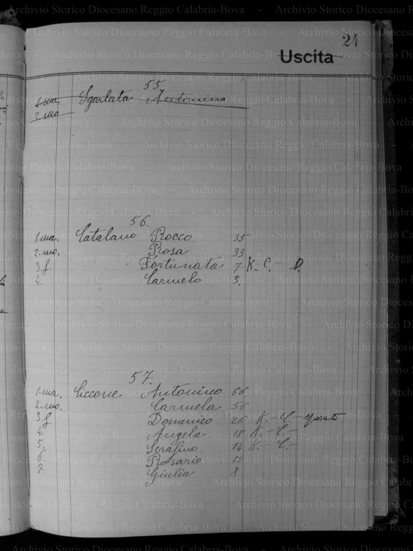 GTNOMLIAS19171917P044