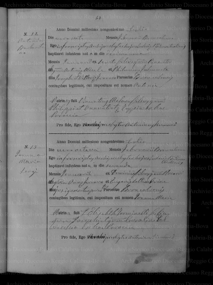 MRANBRNSB19021907P048
