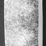 ANNAPLZZB18911906P305