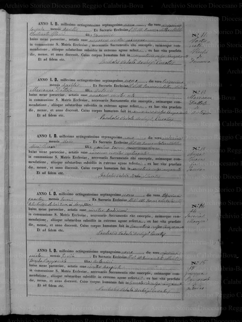 MRIMMLPSD18781914P005