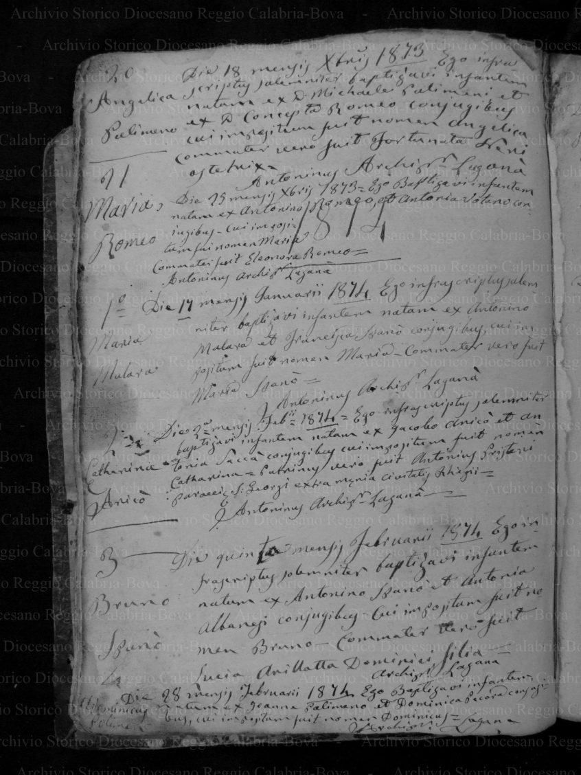 MRLOORTIB18341874P184